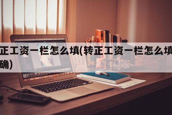 转正工资一栏怎么填(转正工资一栏怎么填才正确)
